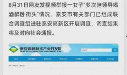 菏泽最新出轨爆料信息网,揭秘不为人知的情感漩涡